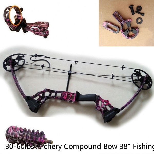 30-60lbs Archery Compound Bow 38" Fishing Hunting 310FPS Adjustable Bow Target