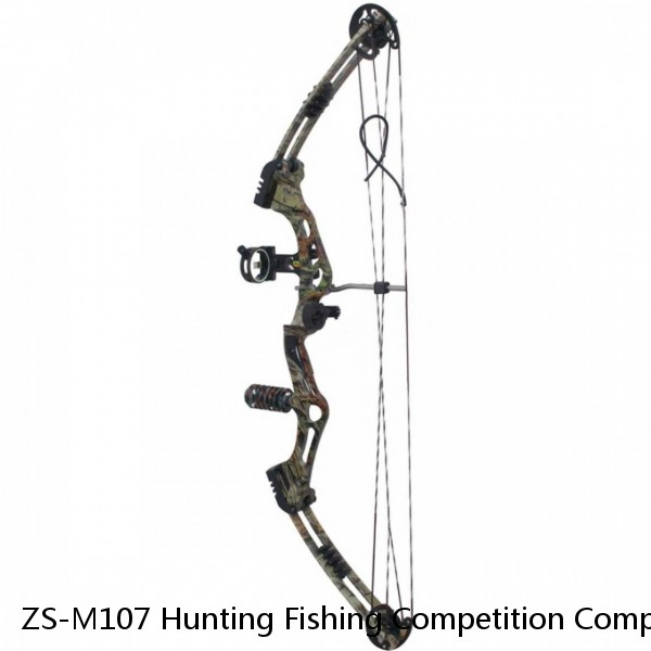 ZS-M107 Hunting Fishing Competition Compound Bow for shooting Archery Arrow 30-50lbs Magnesium Riser Laminated Limbs