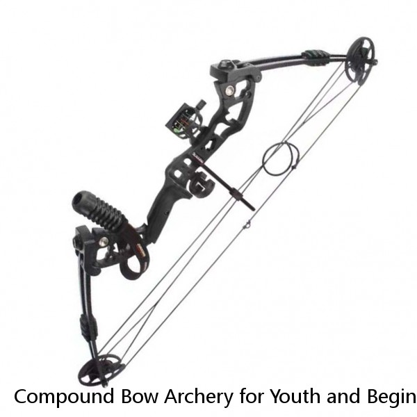 Compound Bow Archery for Youth and Beginner Right/Left Handed 10-20 Lbs Draw Weight Package with Archery Hunting Equipment