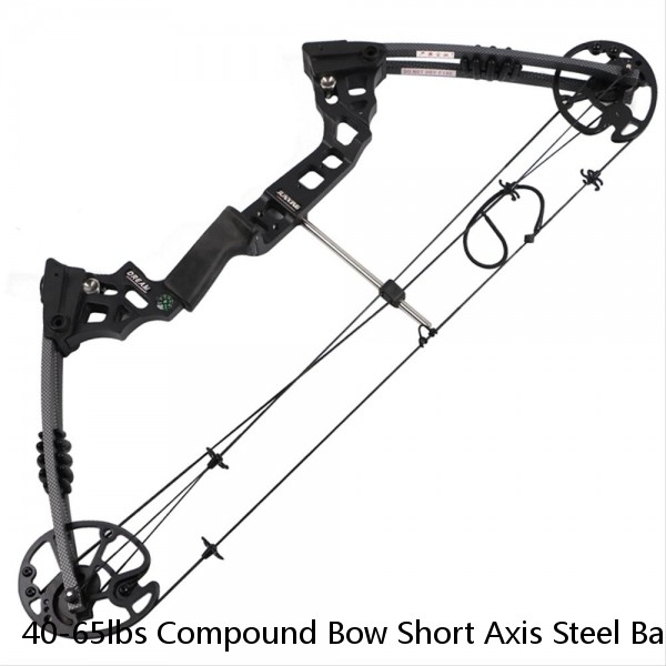 40-65lbs Compound Bow Short Axis Steel Ball Arrows Hunting Fishing Archery