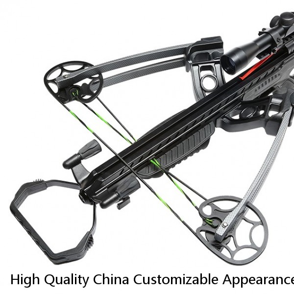 High Quality China Customizable Appearance Professional Adult Archery Compound Bow Outdoor Hunting Shooting Bow And Arrow Set