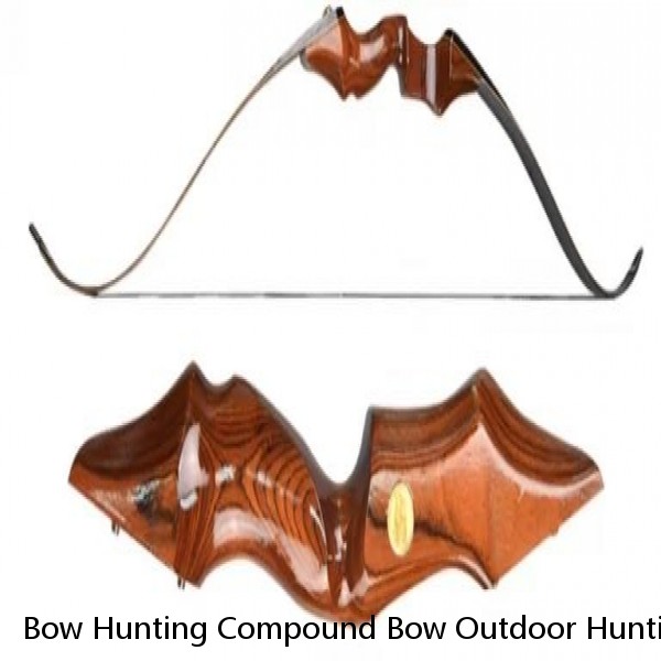 Bow Hunting Compound Bow Outdoor Hunting Bow And Arrow Set Children Compound Bow Set For Sale